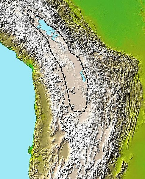 Map depicting the approximate extent of the sedimentary basin in the Altiplano.