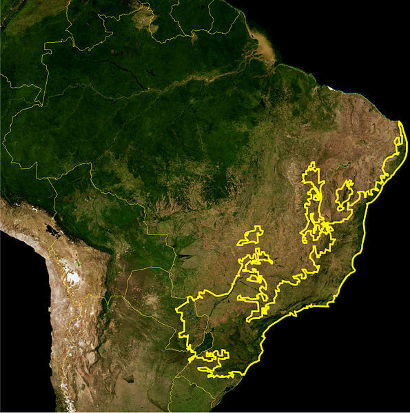 Atlantic Forest Biome, as delineated by the WWF