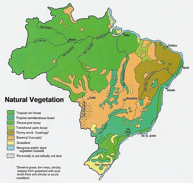 Terrestrial biomes Distribution Map of Brazil