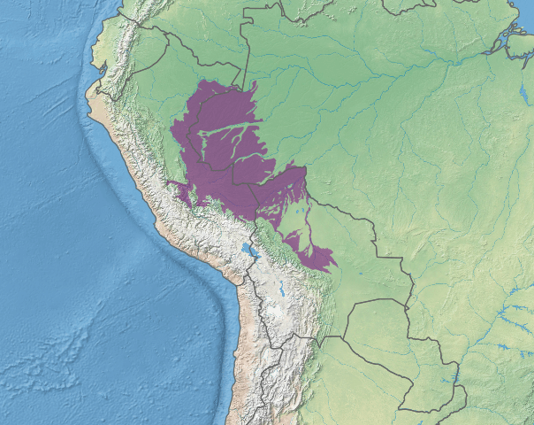 Map depicting the location of the Southwest Amazon moist forests (in purple)