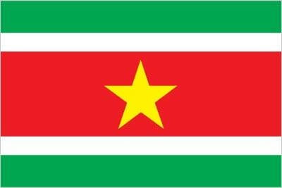 Official flag of Suriname