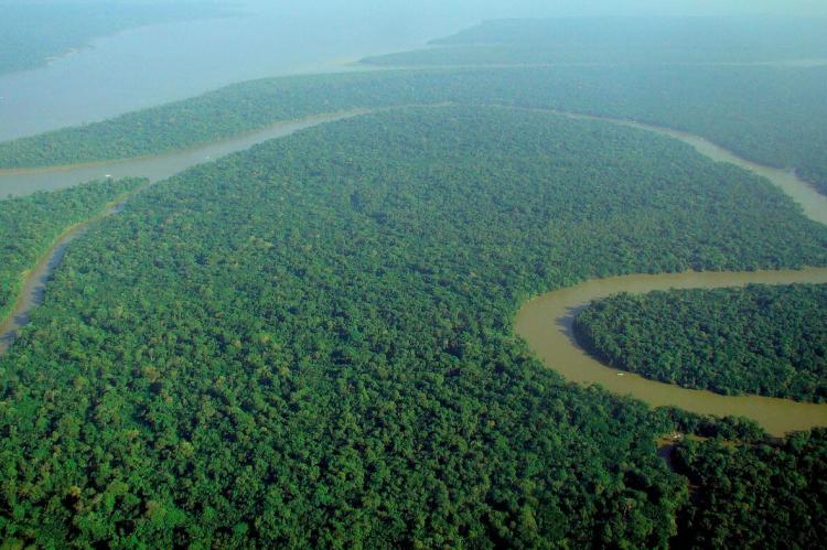 Aerial view of the Amazon River and the Amazon Rainforest