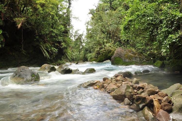 Tenorio National Park, core area of the Agua y Paz Biosphere Reserve, Costa Rica