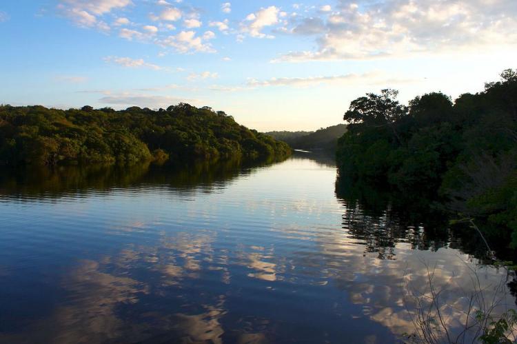 Sunrise over waterway, Jaú National Park (Brazil)