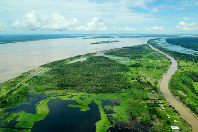 Aerial view of the Amazon Rainforest, near Manaus, the capital of the Brazilian state of Amazonas