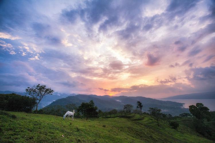 Arenal Lake Sunset with a white horse in Costa Rica