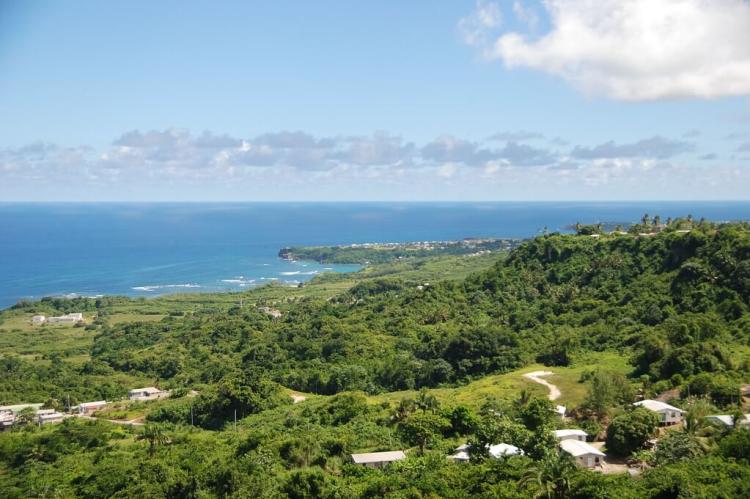 View of eastern coast from St. John Parish church, Barbados