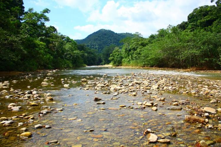 Bladen River, Bladen Nature Reserve in the Maya Mountains of southern Belize