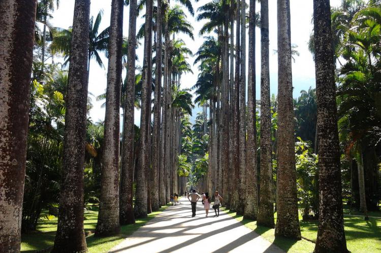 Botanical Garden, Rio de Janeiro, Brazil