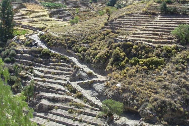 Inca Trail (Qhapaq Ñan) and terraces, Tarata - Ticaco
