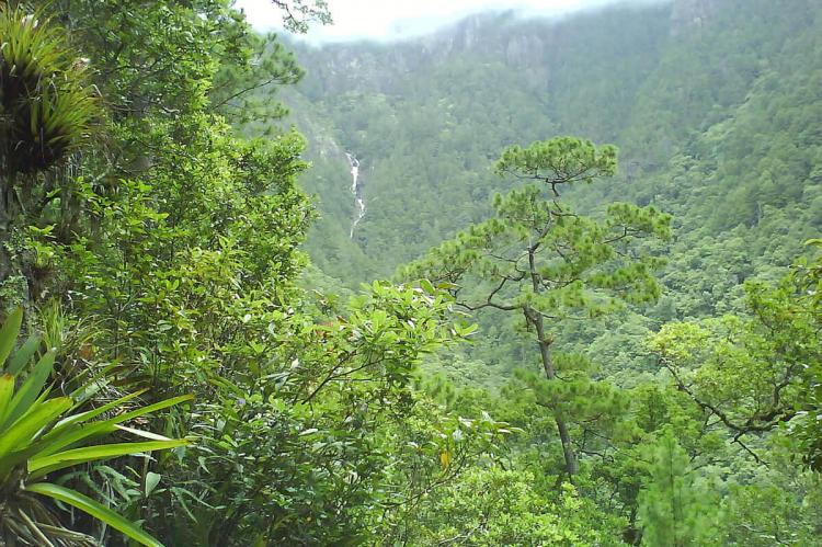 View of waterfall in the Montaña de Celaque National Park, Honduras