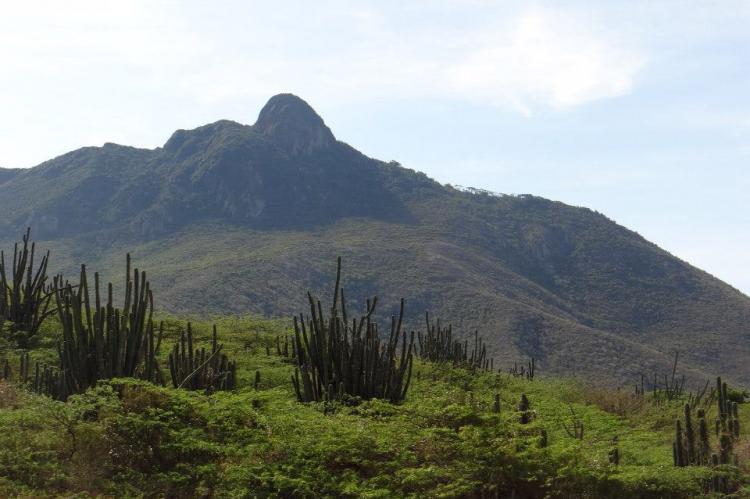 Cerro Santa Ana, Paraguaná Peninsula, Venezuela
