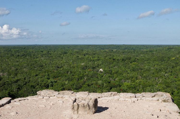 Forests surrounding the ancient Maya city of Cobá in the northeast of the Yucatán Peninsula, Mexico