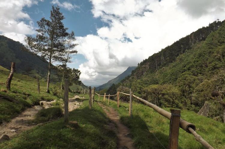 Hiking trail, Cocora Valley, Colombia