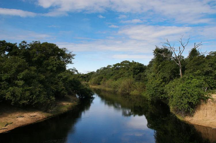 Wetland channel, Pantanal, Brazil