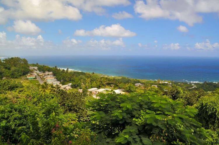 Martins Bay, coast of Barbados