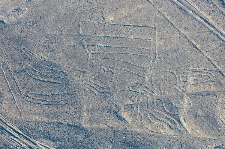 "The Pelican" - Nazca Lines, Nazca, Peru