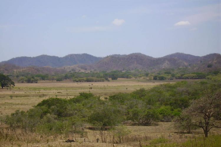 Pampa in Guanacaste Conservation Area