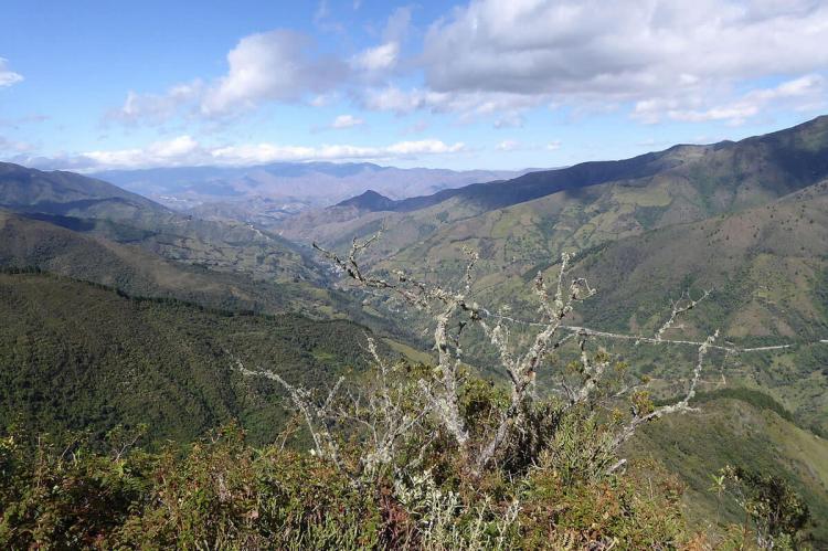 Podocarpus National Park and Biosphere Reserve, Ecuador