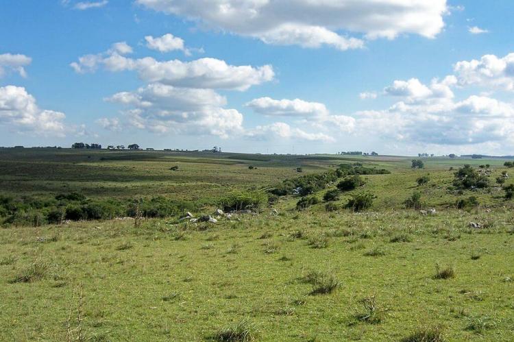 Prairie and riparian forest, near Sierra de Mal Abrigo, San José (Uruguay)