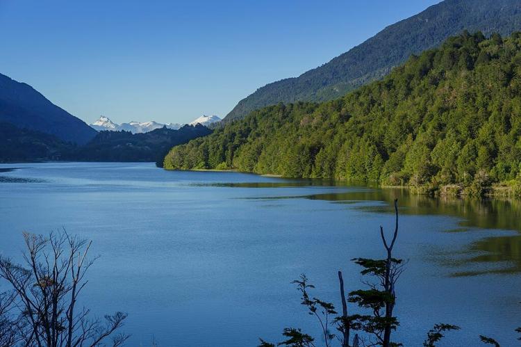 Puyuhuapi Channel, Queulat National Park, Chile