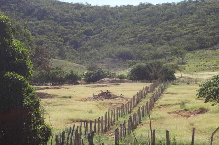 Typical landscape of Serra Geral, Brazil