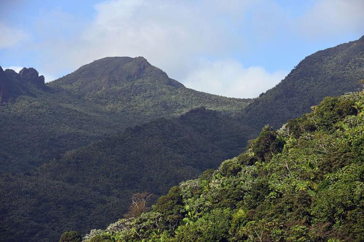 Sierra de Luquillo, El Yunque National Forest, Puerto Rico