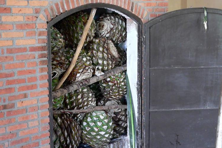 Tequila oven (kiln) at Dona Engracia hacienda, Jalisco, Mexico