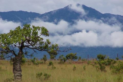 Kanuku Mountains as seen from Lethem, Guyana