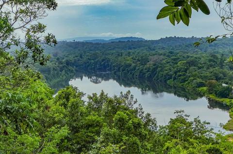 View of the Suriname river from the Blauwe Berg, or Blue Mountain, on the former Berg en Dal plantation