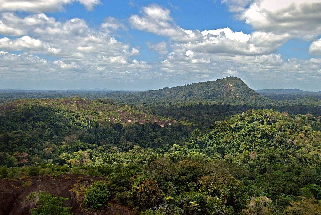 Amazon Rainforest River Basin Biome Lac Geo