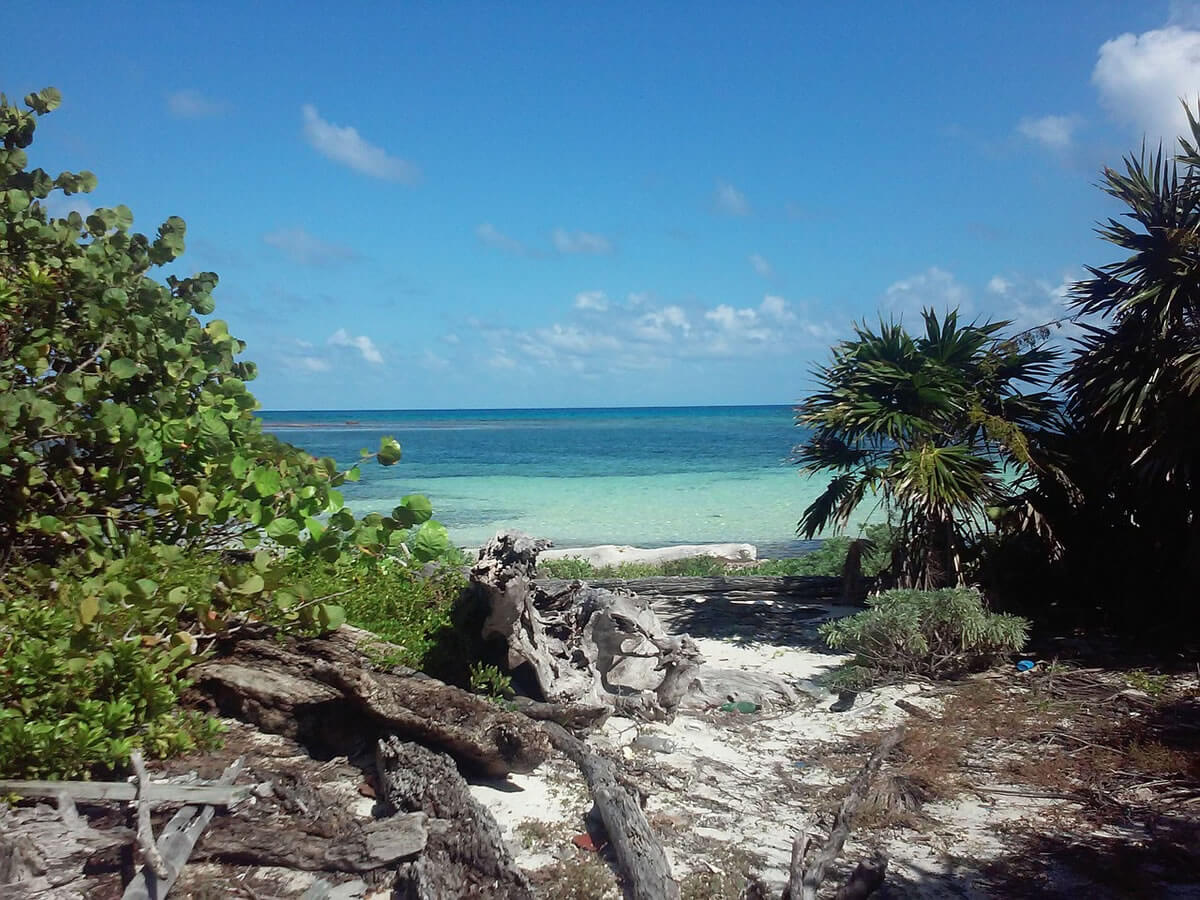 Belize Barrier Reef: A Jewel of Ecological Diversity | LAC Geo