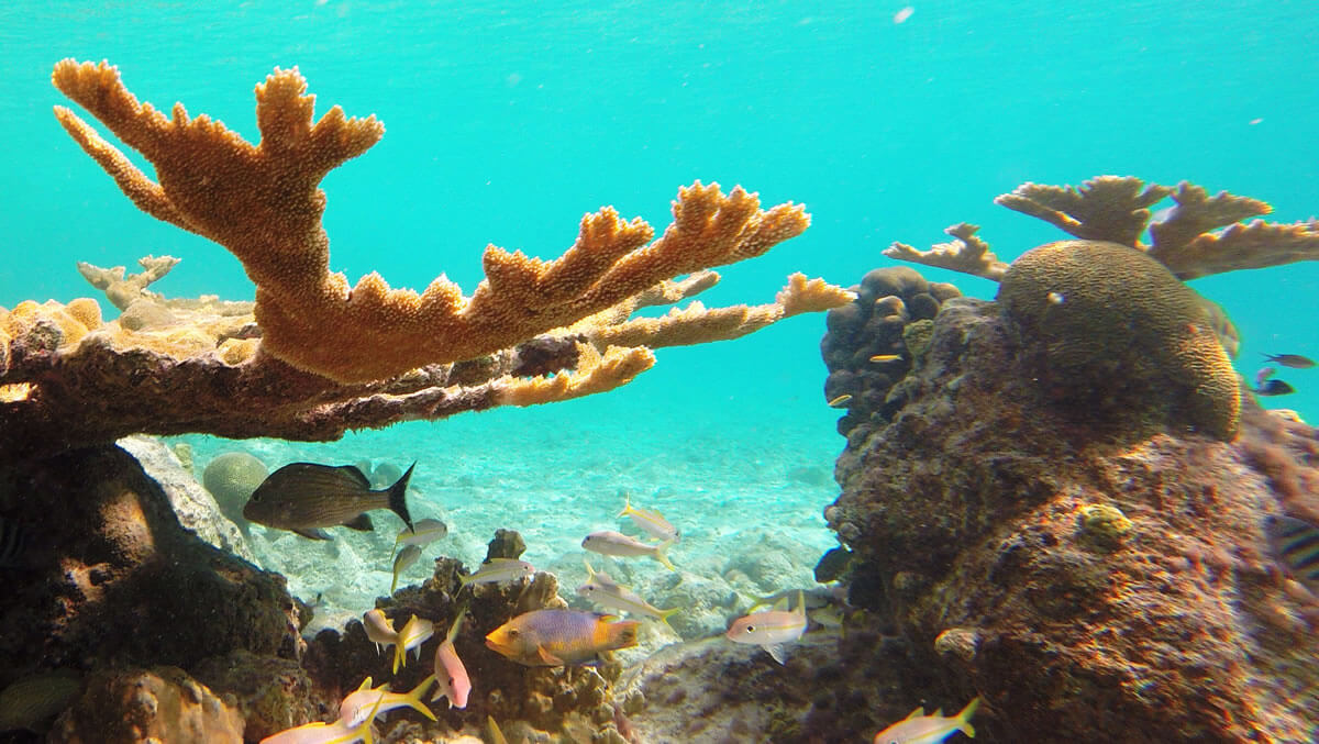 Lac Bay, Klein Bonaire, & Bonaire National Marine Park | LAC Geo