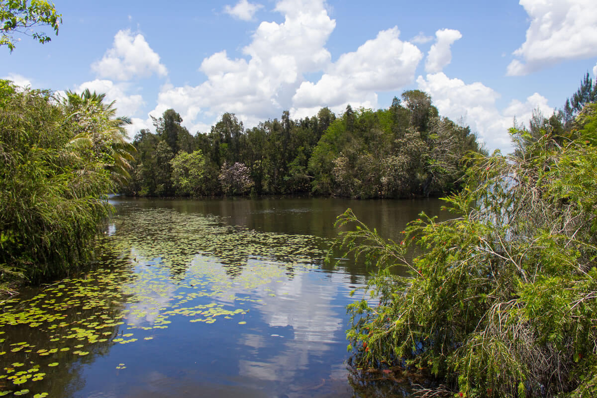 Cuba Natural Wonders: Eco-Tourism Hotspots - Zapata Swamp: Biosphere Reserve