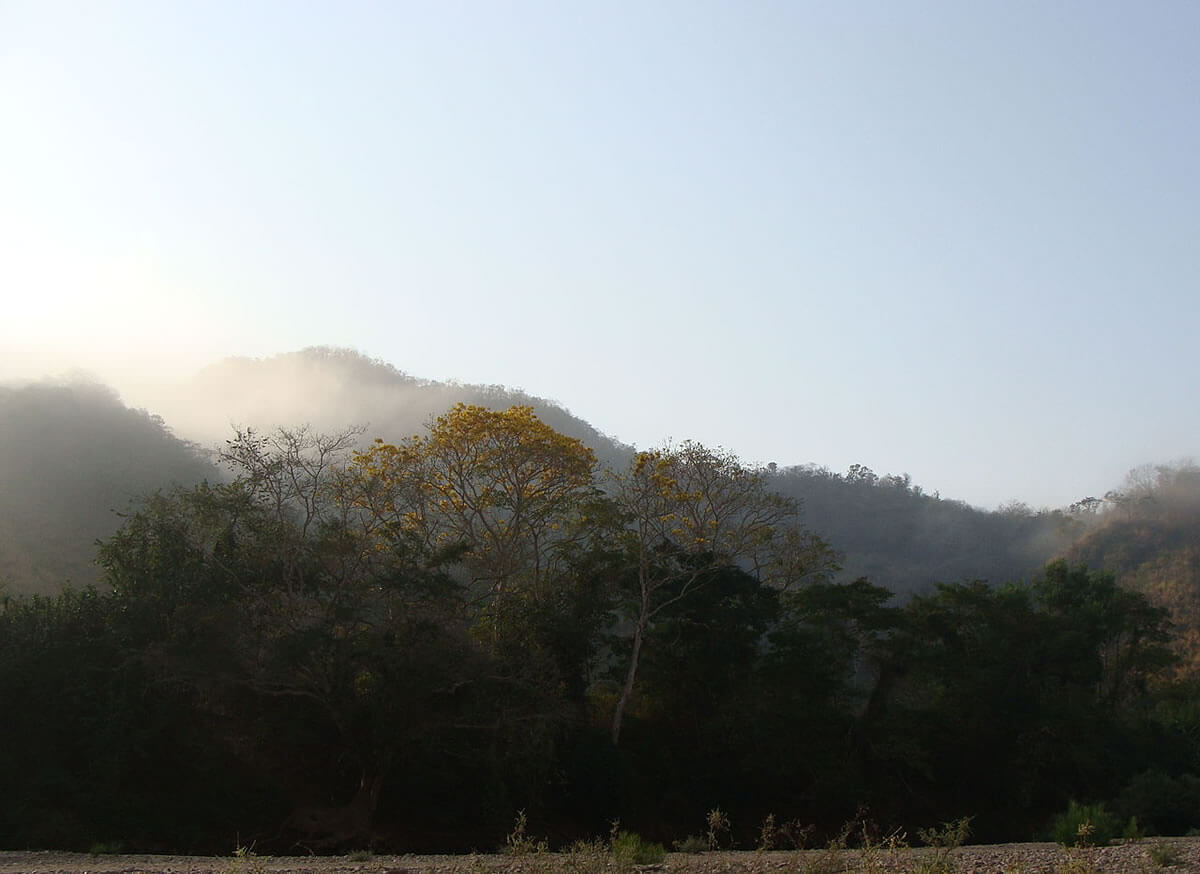 Chamela-Cuixmala Biosphere Reserve: Preserving Mexico's Tropical Dry ...