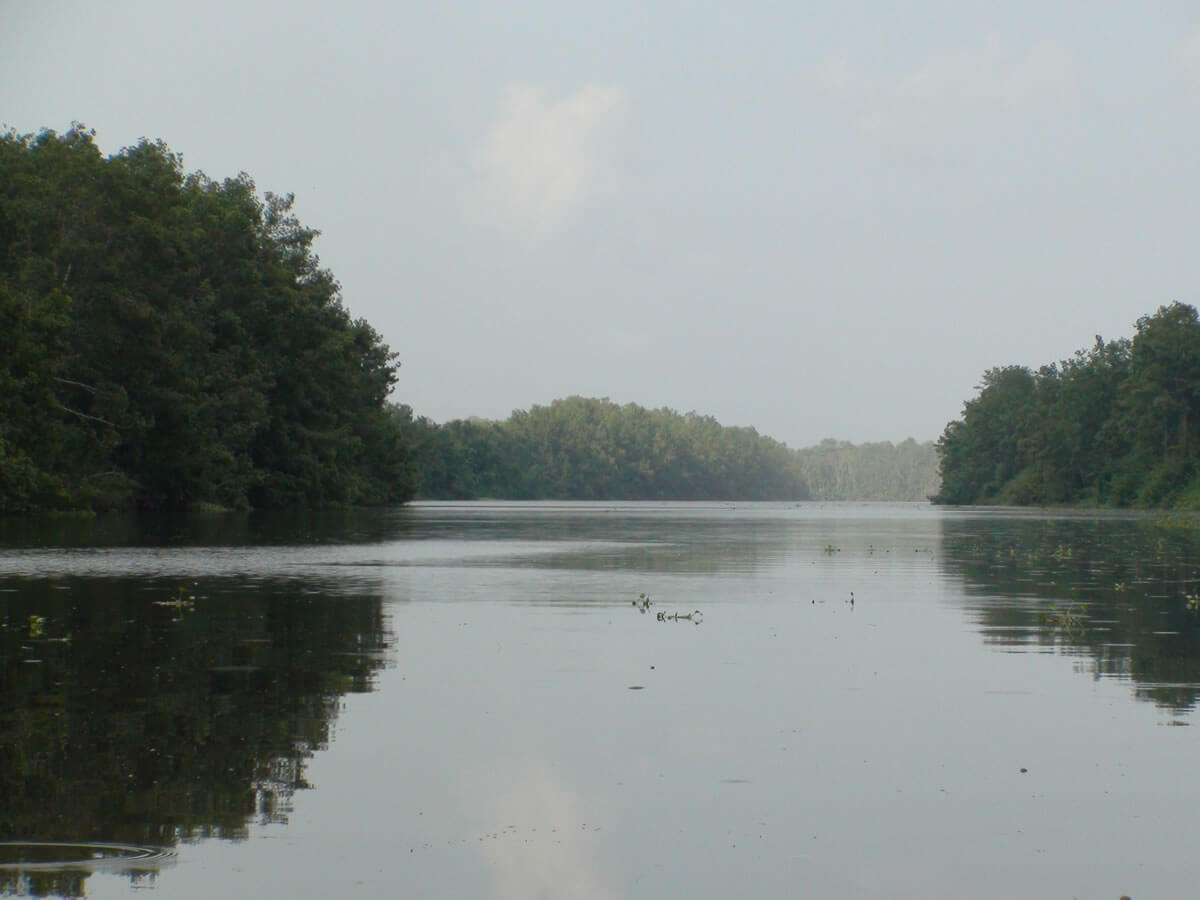 El Delta del Orinoco con subdivisiones geográcas.