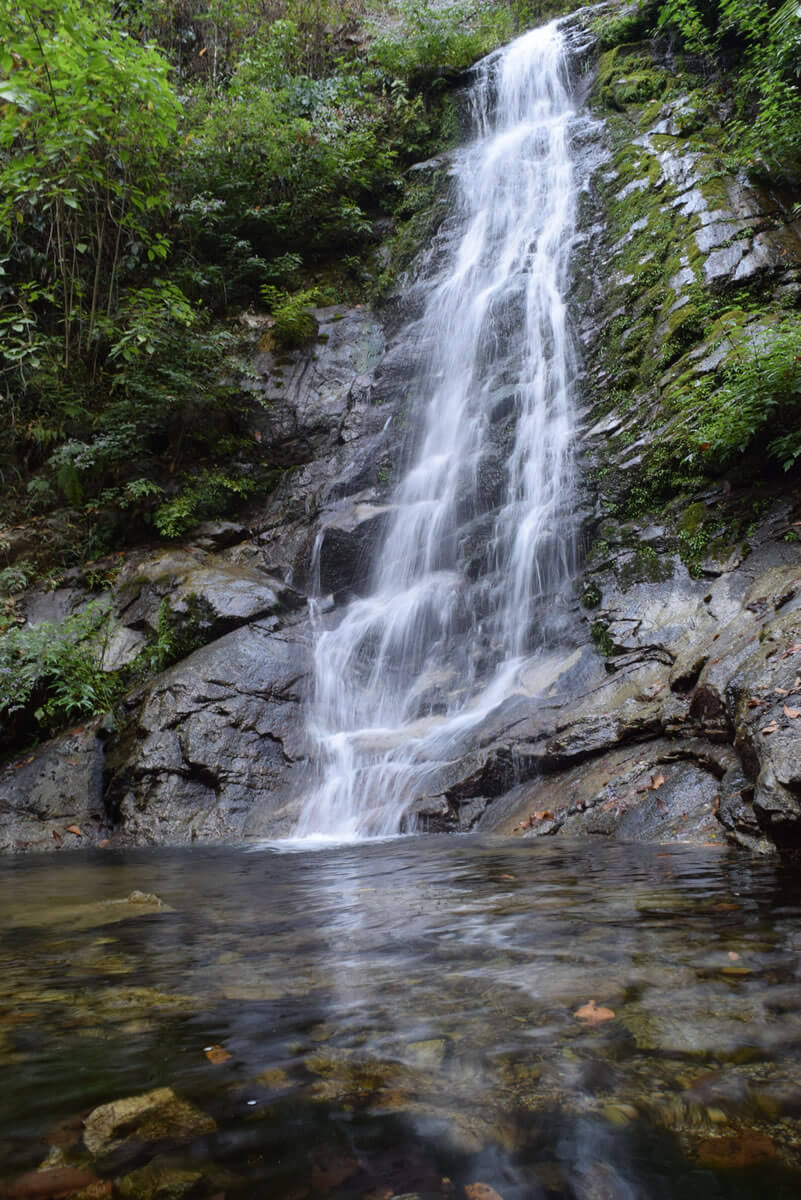 The El Triunfo Biosphere Reserve: Biodiversity & Beyond | LAC Geo