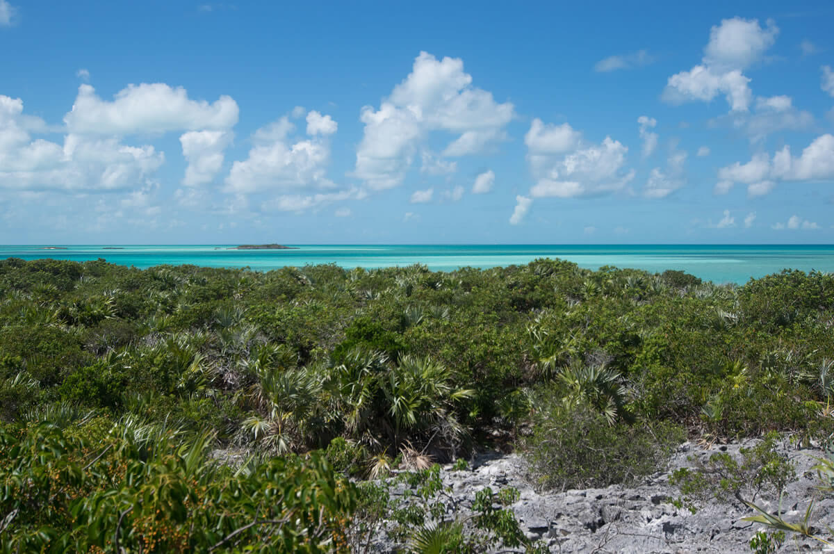 Exuma Cays: Exuma Cays Land and Sea Park (The Bahamas) | LAC Geo