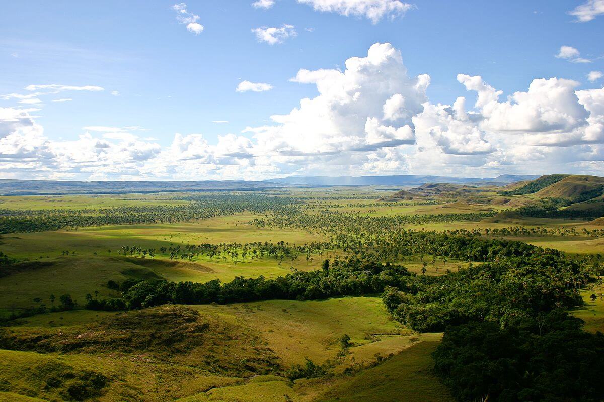 Los Llanos: Llanos Ecoregion (South America) | LAC Geo