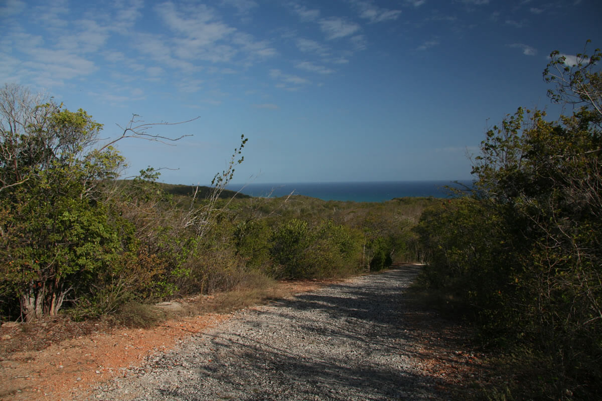 Guánica Biosphere Reserve: Preserving Puerto Rico's Ecological Legacy ...