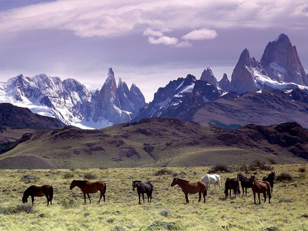 Patagonia: Region (Argentina, Chile) LAC Geo
