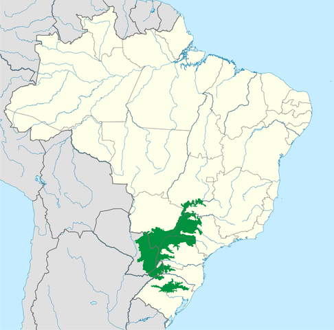 Map depicting the approximate area of the Alto Paraná Atlantic Forest ecoregion (in green)