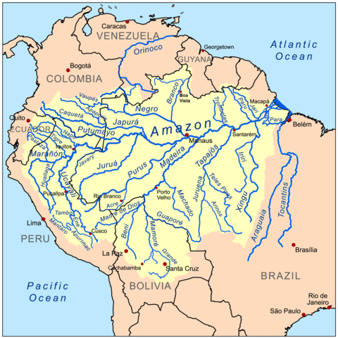 Várzea Forest Ecoregions (South America) | LAC Geo