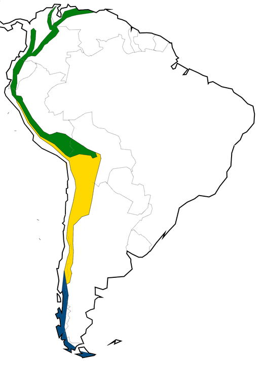 Map of the climatic regions of the Andes