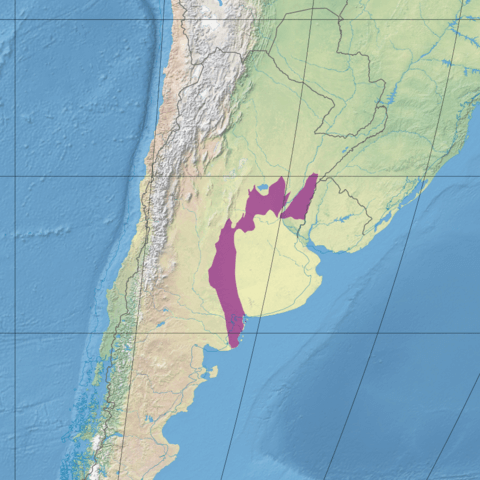 Map depicting the location of the Argentine Espinal (in purple)