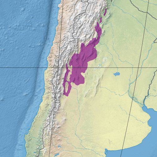 Ecoregion NT1010 - High Monte (in purple)