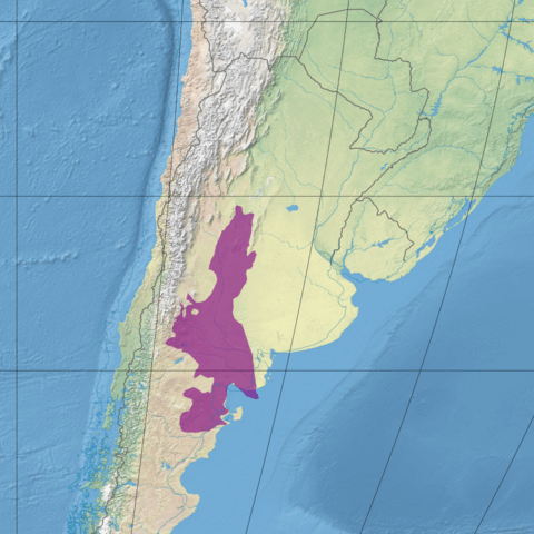 Map illustrating the location of the Argentine Monte (in purple)
