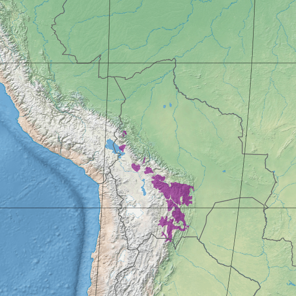 Map depicting the location of the Bolivian montane dry forests ecoregion (in purple)