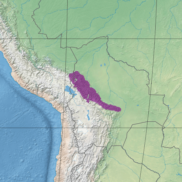Map depicting the location of the Bolivian Yungas ecoregion (in purple)