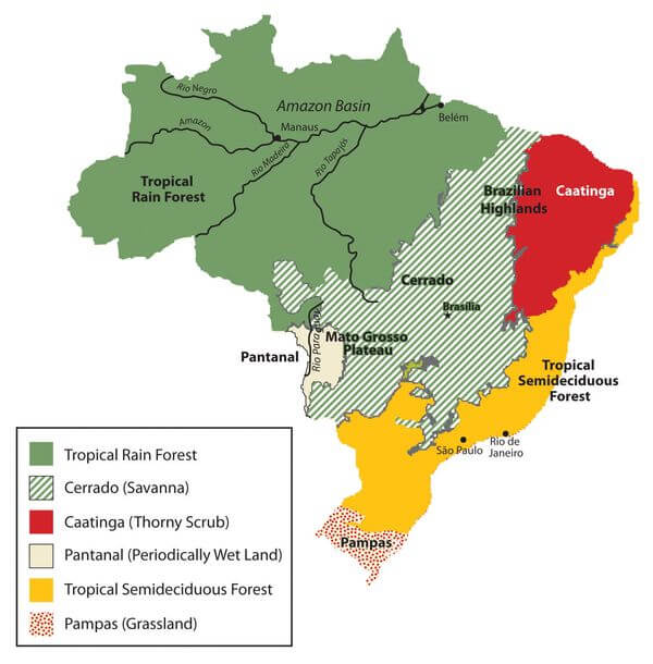 Map of Brazil's main biomes